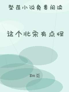 这个北宋有点怪