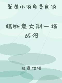 情断意大利一场战役